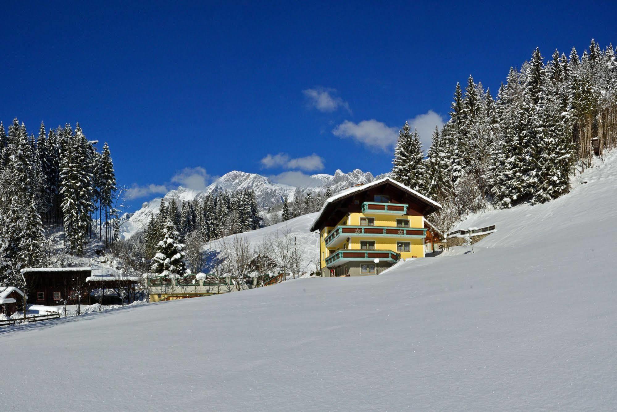 Bed and Breakfast Haus Elisabeth Mühlbach am Hochkönig Zewnętrze zdjęcie
