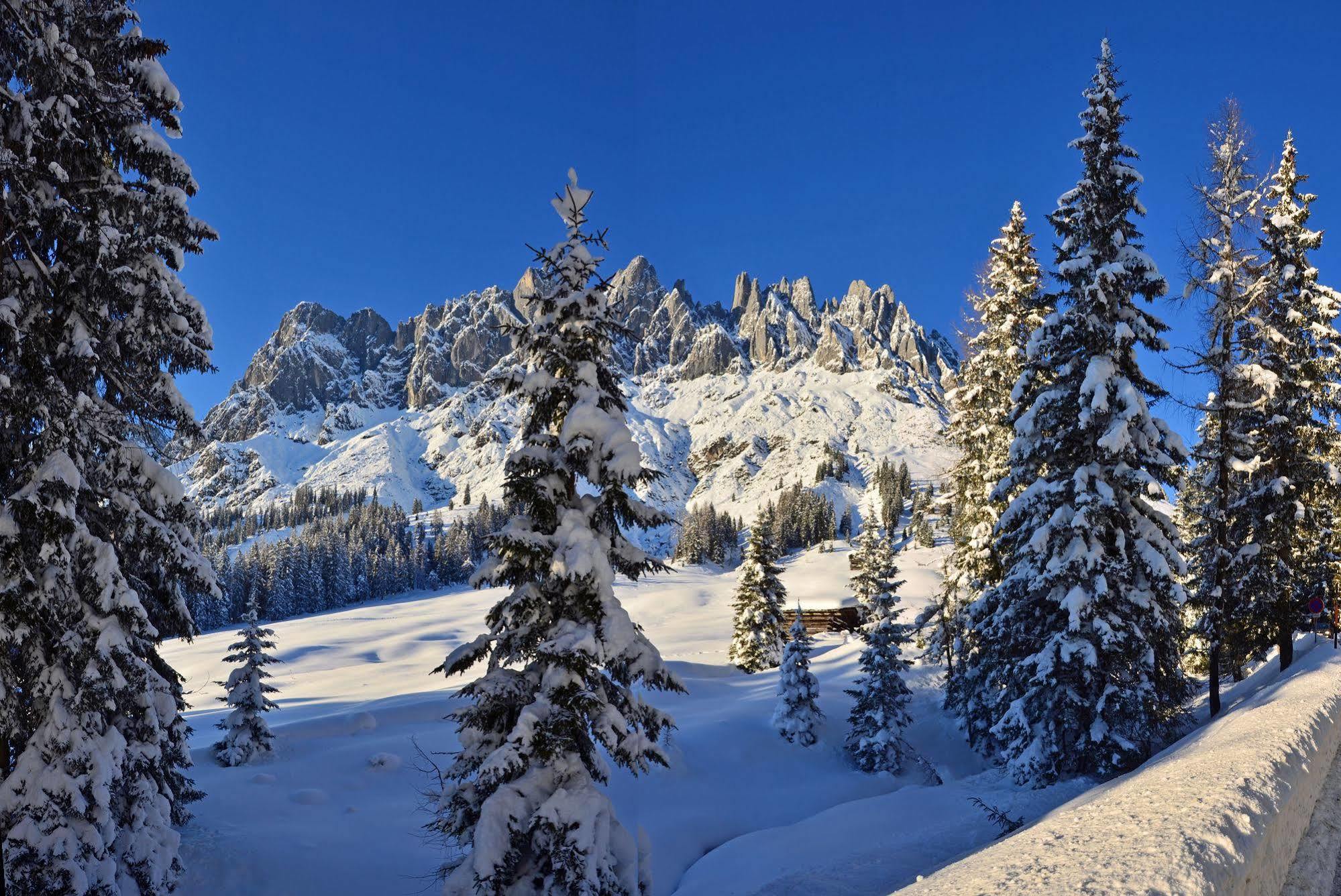 Bed and Breakfast Haus Elisabeth Mühlbach am Hochkönig Zewnętrze zdjęcie